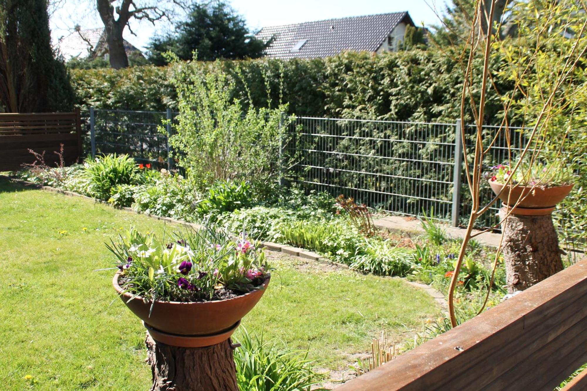 Ferienhof Marlin - Ferienhaus Ruegen Villa Solkendorf Esterno foto